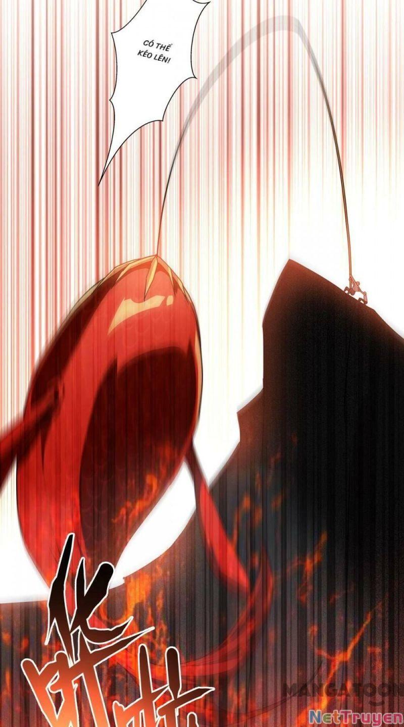 Bị Cắn Thành Vương Giả Chapter 8 - Trang 2