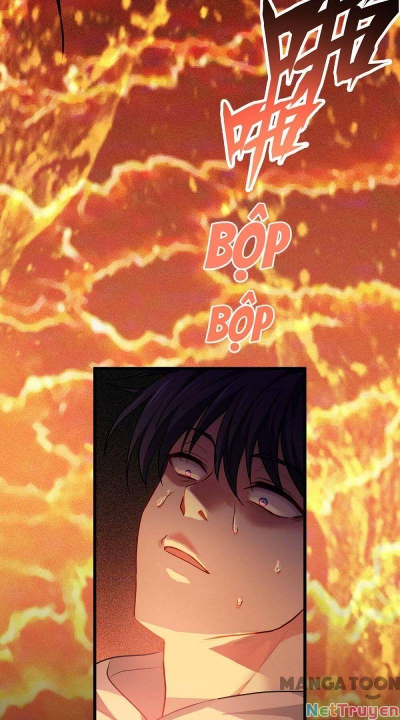 Bị Cắn Thành Vương Giả Chapter 8 - Trang 2