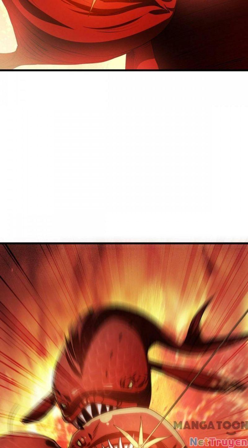 Bị Cắn Thành Vương Giả Chapter 8 - Trang 2