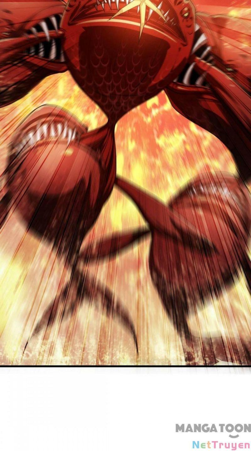 Bị Cắn Thành Vương Giả Chapter 8 - Trang 2