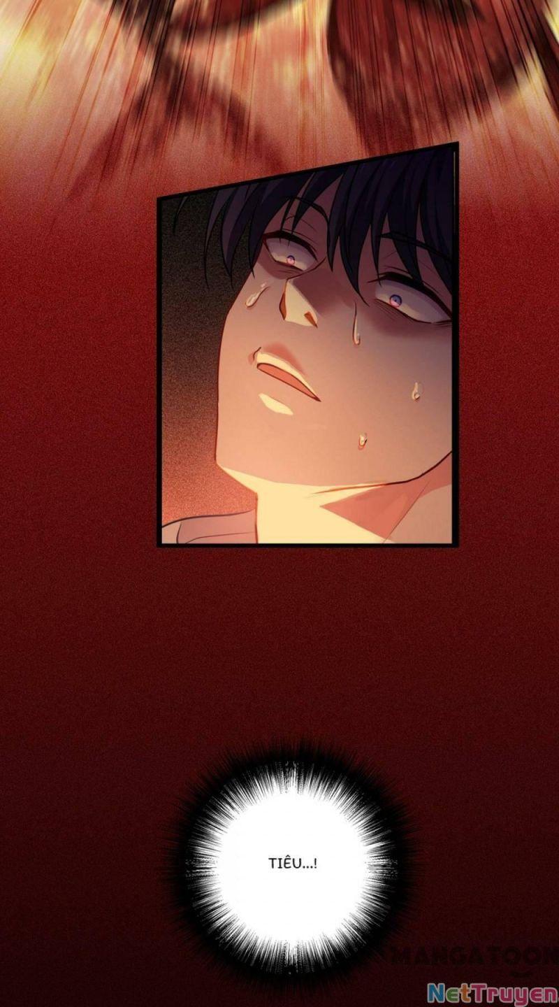 Bị Cắn Thành Vương Giả Chapter 9 - Trang 2