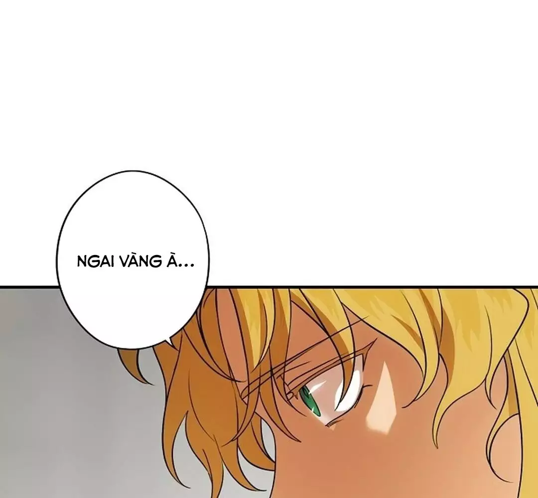 Bị Che Khuất Bởi Hoàng Hôn Chapter 196 - Trang 2