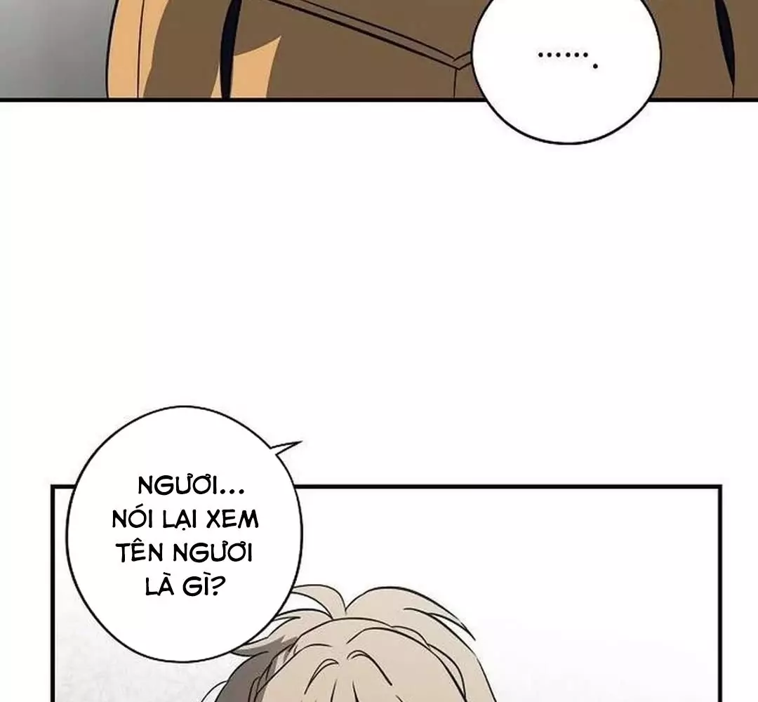 Bị Che Khuất Bởi Hoàng Hôn Chapter 200 - Trang 2
