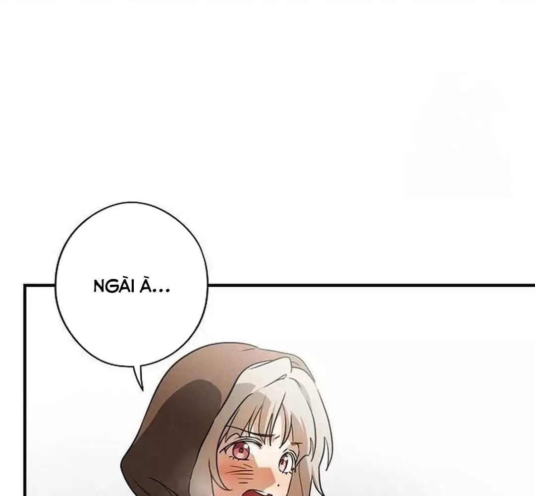 Bị Che Khuất Bởi Hoàng Hôn Chapter 200 - Trang 2