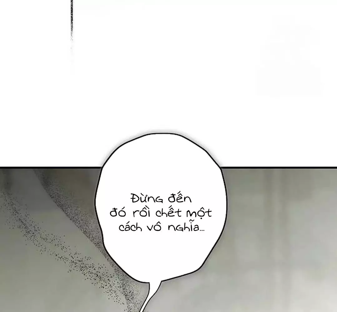 Bị Che Khuất Bởi Hoàng Hôn Chapter 201 - Trang 2