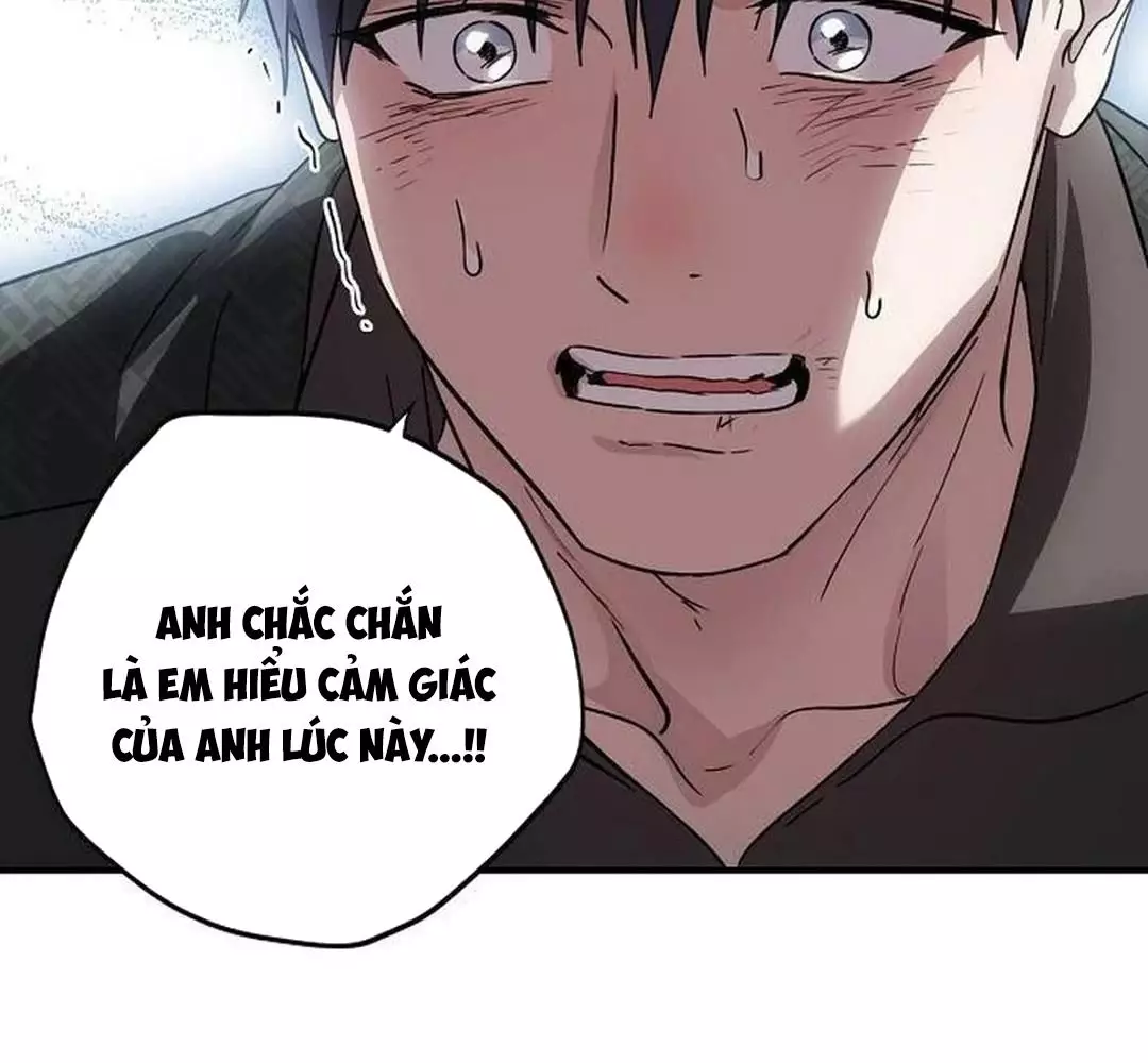 Bị Che Khuất Bởi Hoàng Hôn Chapter 201 - Trang 2