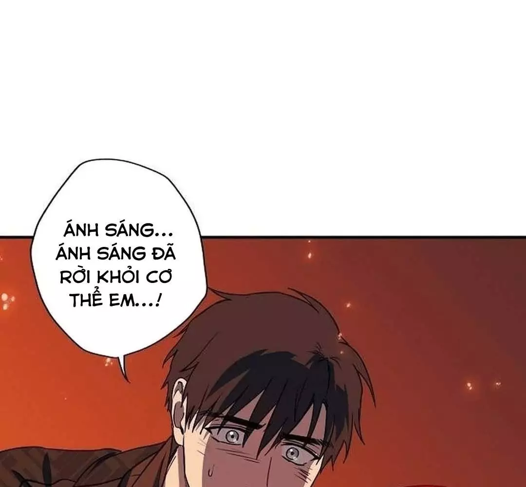 Bị Che Khuất Bởi Hoàng Hôn Chapter 202 - Trang 2