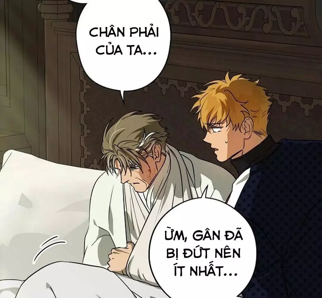 Bị Che Khuất Bởi Hoàng Hôn Chapter 205 - Trang 2