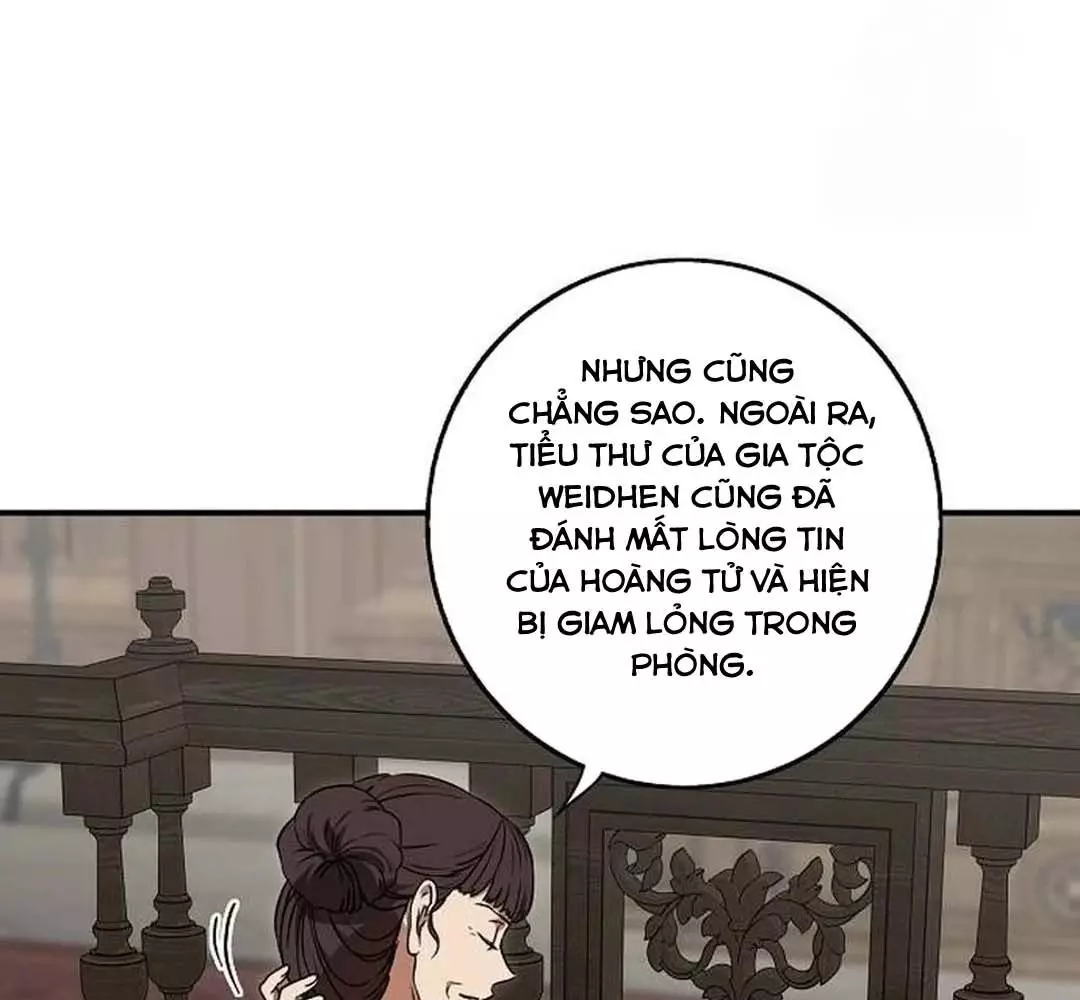 Bị Che Khuất Bởi Hoàng Hôn Chapter 206 - Trang 2