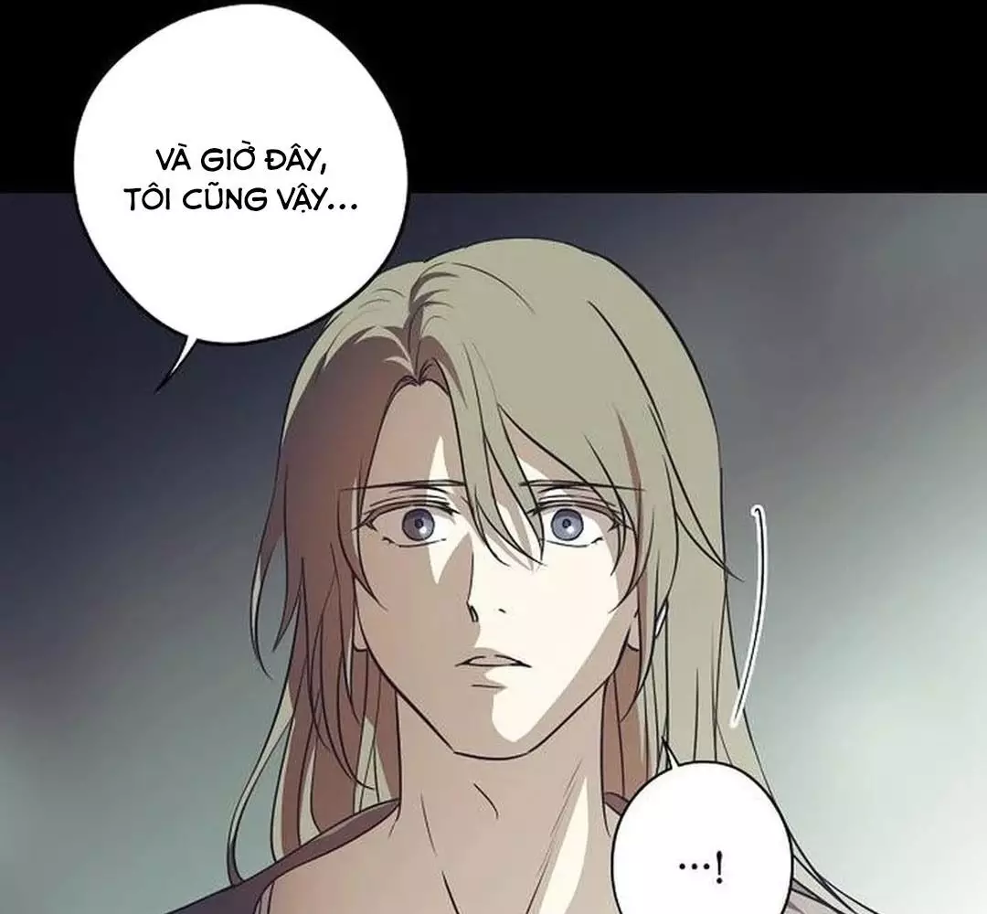 Bị Che Khuất Bởi Hoàng Hôn Chapter 207 - Trang 2
