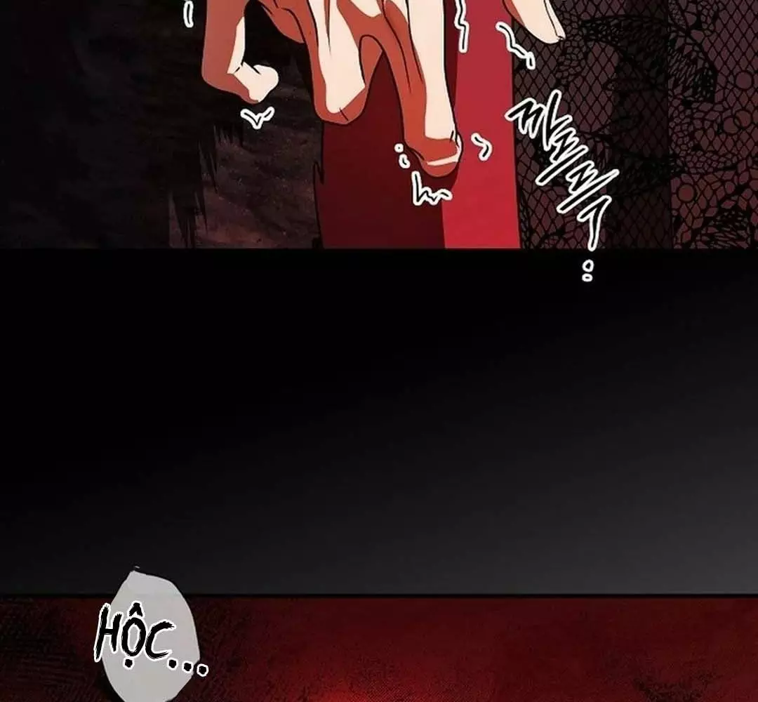 Bị Che Khuất Bởi Hoàng Hôn Chapter 208 - Trang 2
