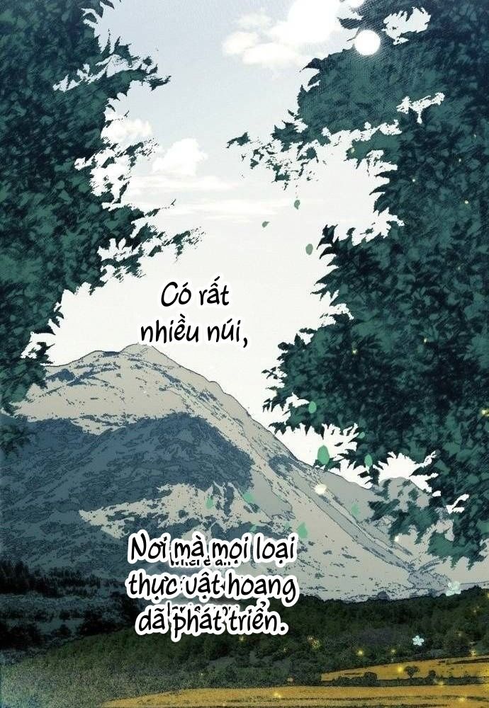 Bị Che Khuất Bởi Mặt Trời Lặn Chapter 102 - Trang 2