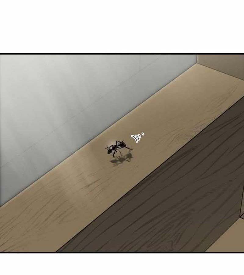 Bị Che Khuất Bởi Mặt Trời Lặn Chapter 109 - Trang 2