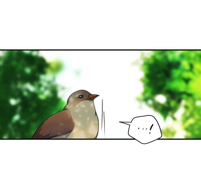 Bị Che Khuất Bởi Mặt Trời Lặn Chapter 15 - Trang 2