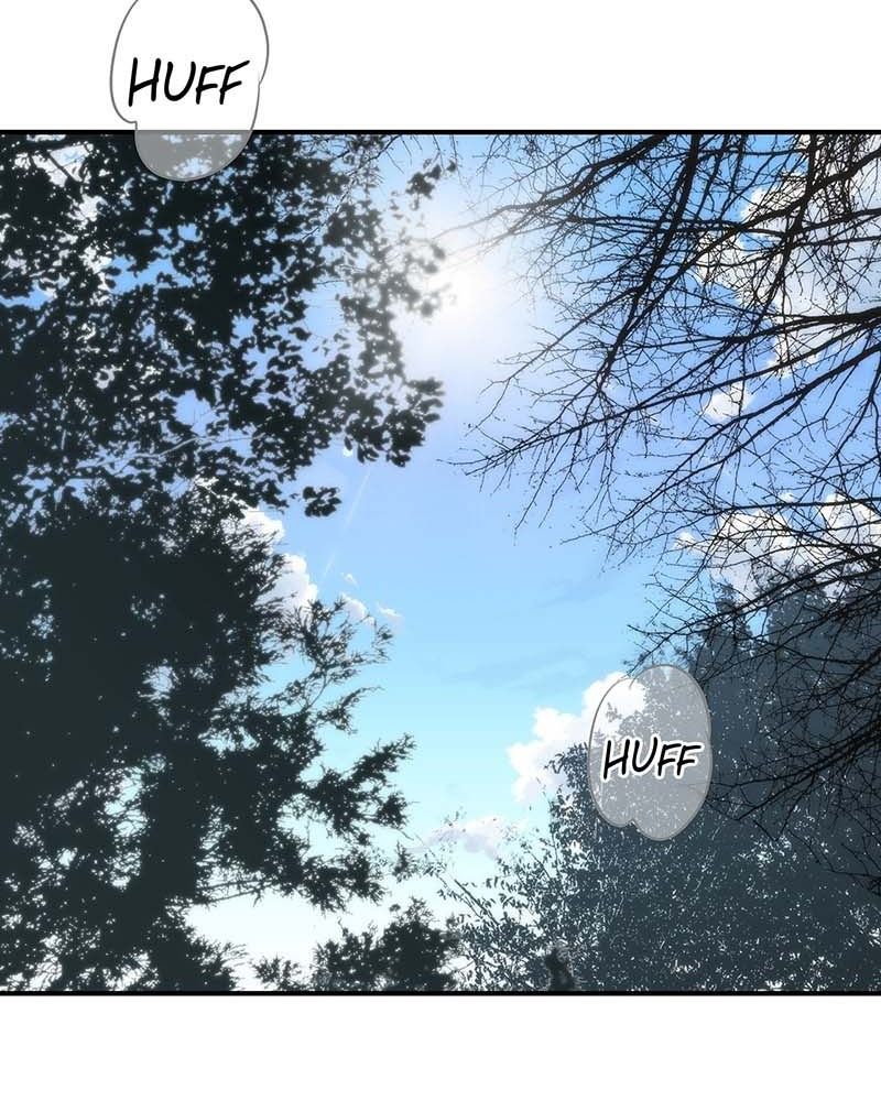 Bị Che Khuất Bởi Mặt Trời Lặn Chapter 164 - Trang 2