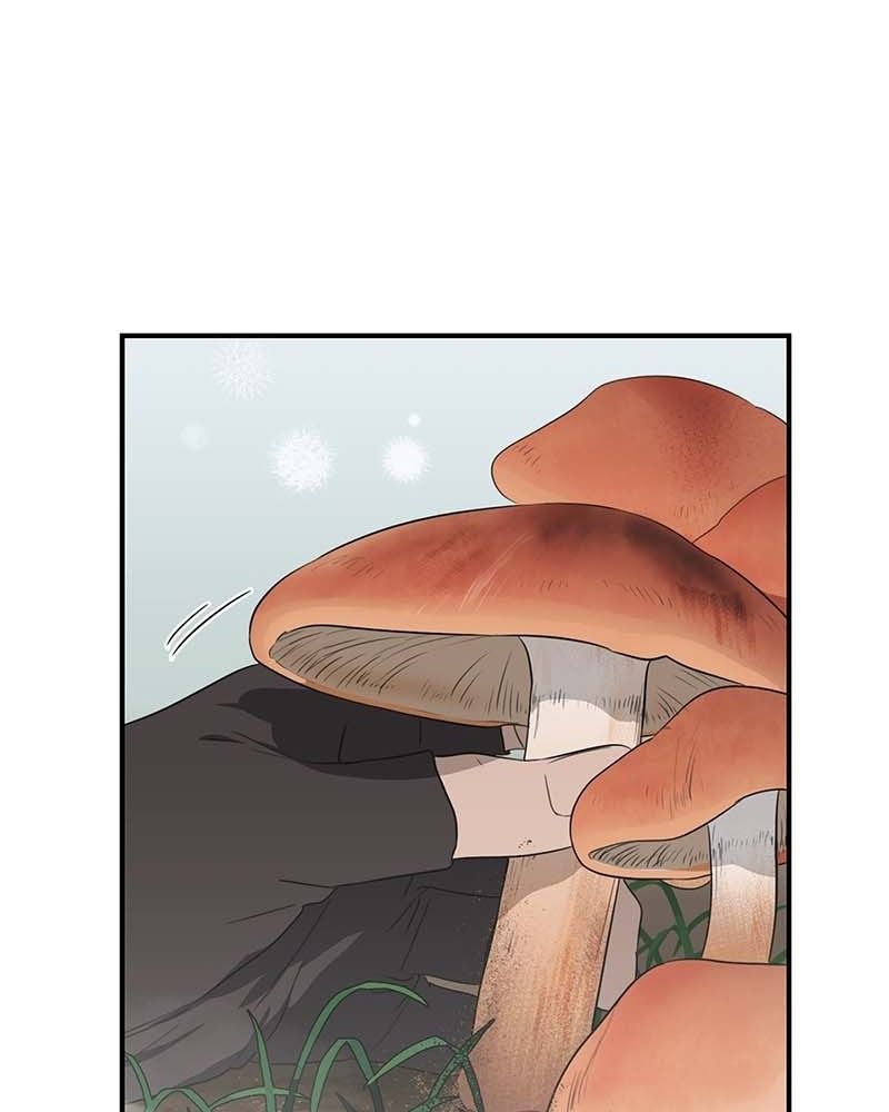 Bị Che Khuất Bởi Mặt Trời Lặn Chapter 166 - Trang 2