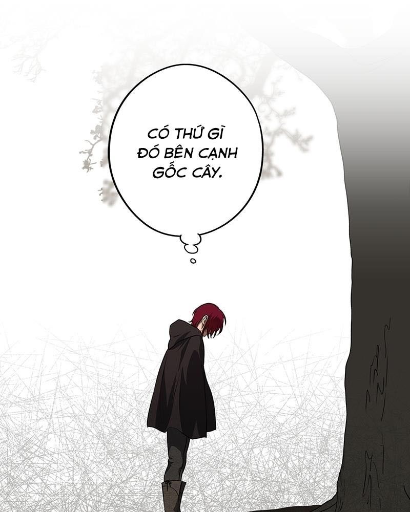 Bị Che Khuất Bởi Mặt Trời Lặn Chapter 177 - Trang 2