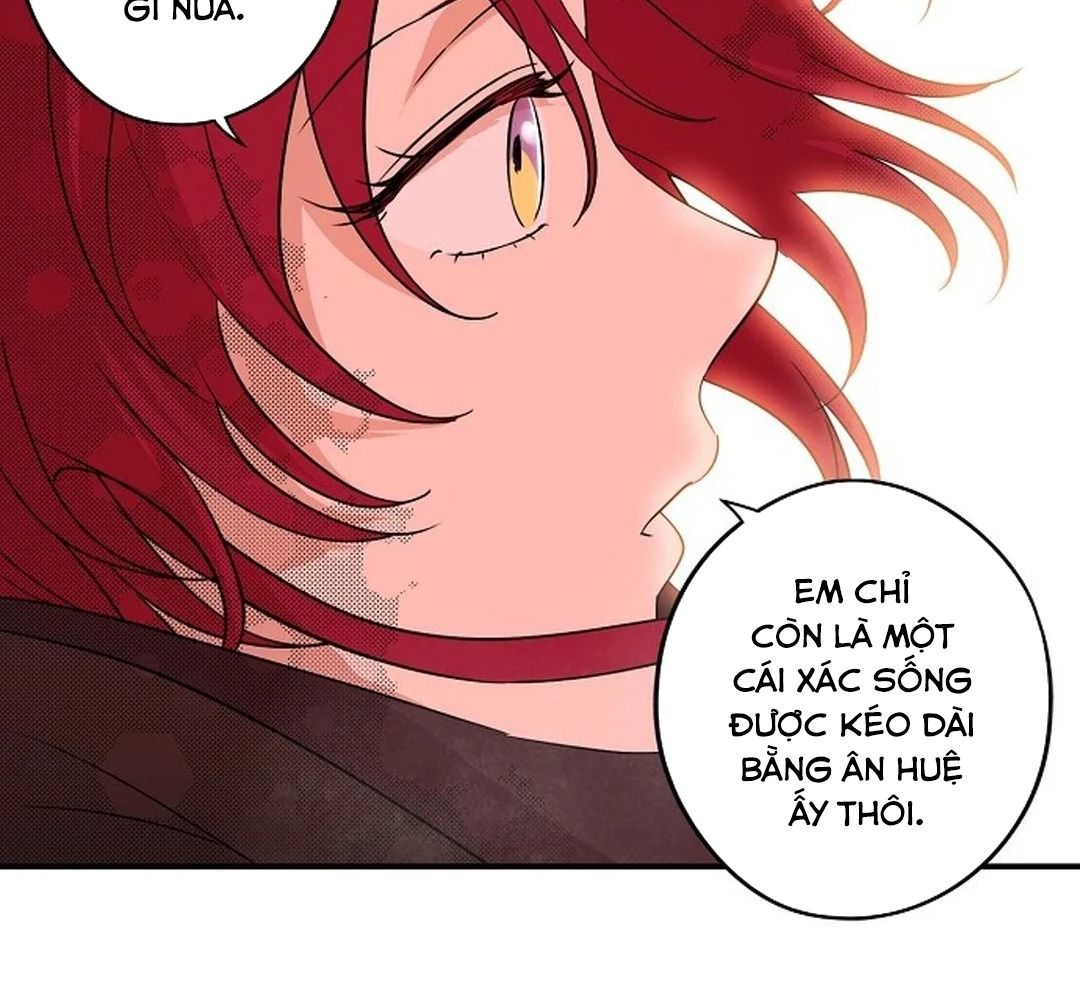 Bị Che Khuất Bởi Mặt Trời Lặn Chapter 180 - Trang 2