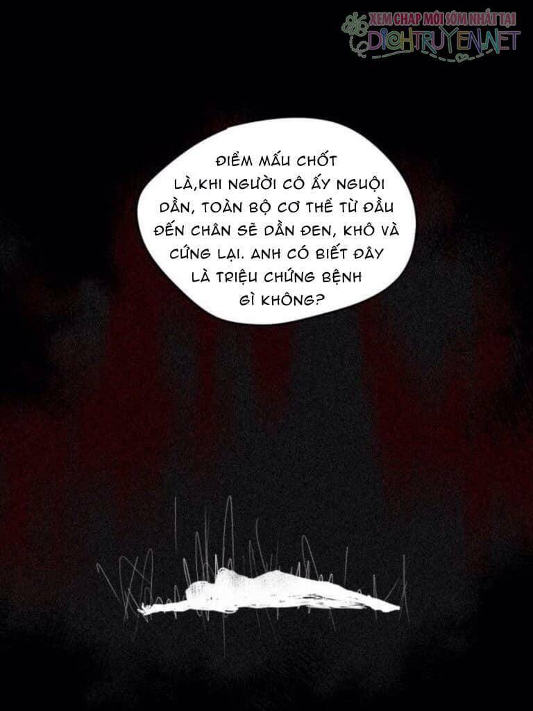 Bị Che Khuất Bởi Mặt Trời Lặn Chapter 2 - Trang 2