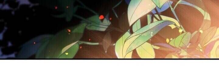 Bị Che Khuất Bởi Mặt Trời Lặn Chapter 66 - Trang 2