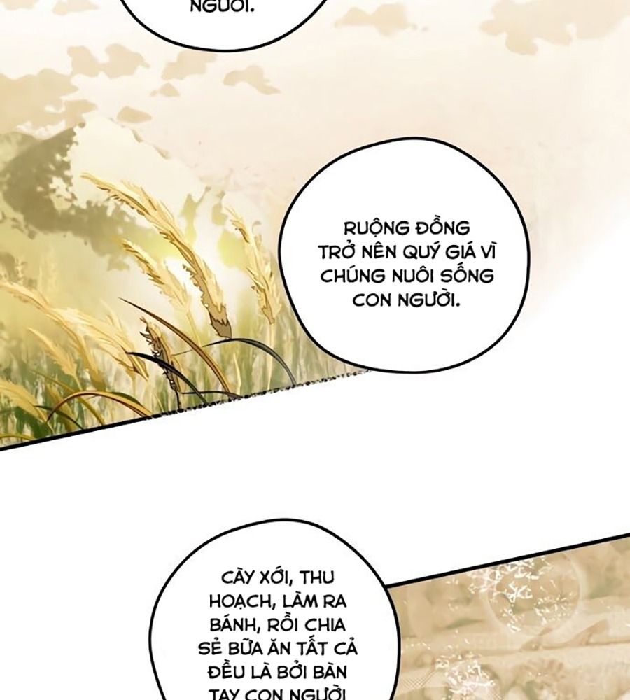 Bị Che Khuất Bởi Mặt Trời Lặn Chapter 70 - Trang 2