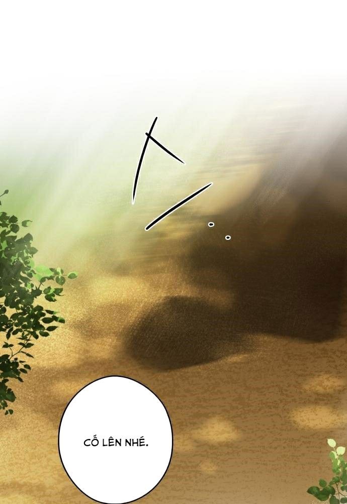 Bị Che Khuất Bởi Mặt Trời Lặn Chapter 93 - Trang 2