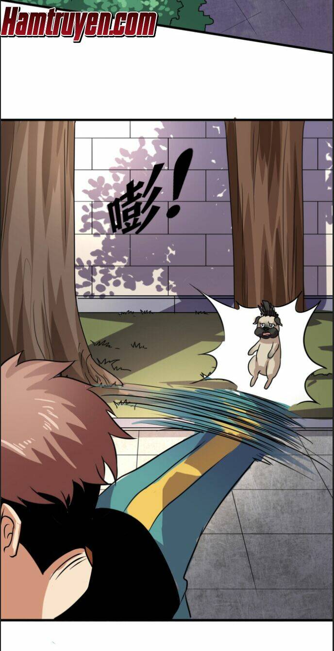 Bị Ép Trở Thành Mạnh Nhất Thế Giới Chapter 12 - Trang 2