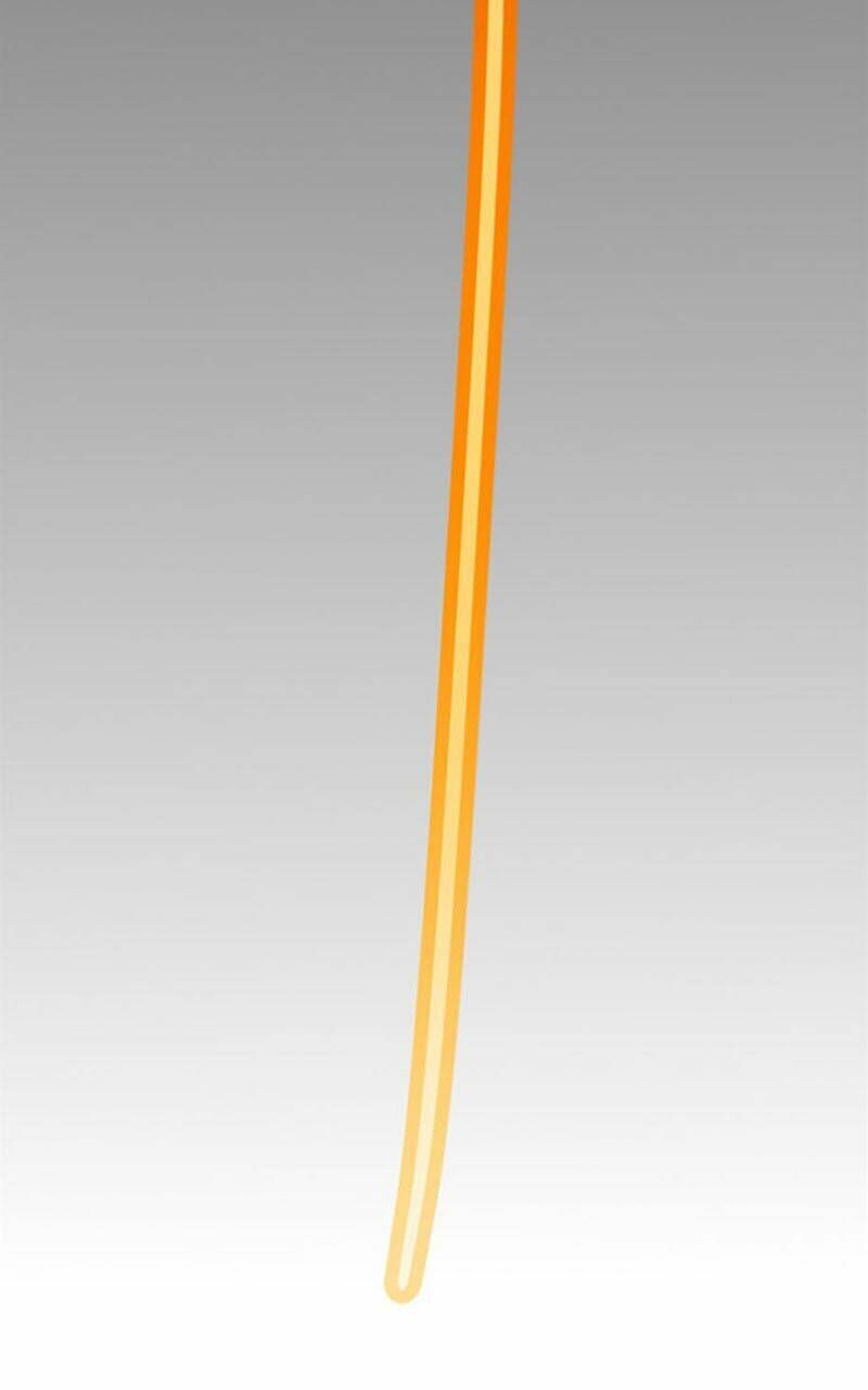 Bị Ép Trở Thành Mạnh Nhất Thế Giới Chapter 13 - Trang 2