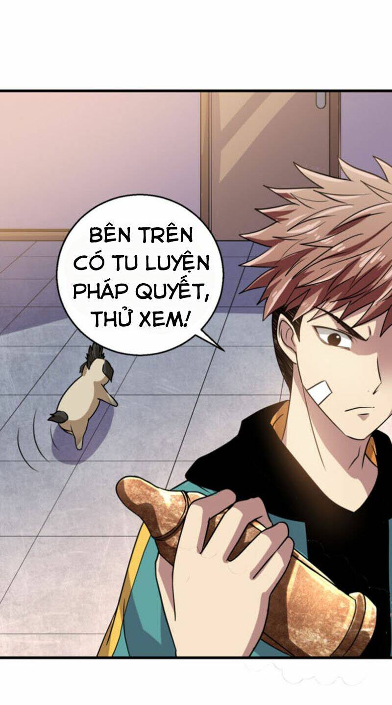 Bị Ép Trở Thành Mạnh Nhất Thế Giới Chapter 17 - Trang 2