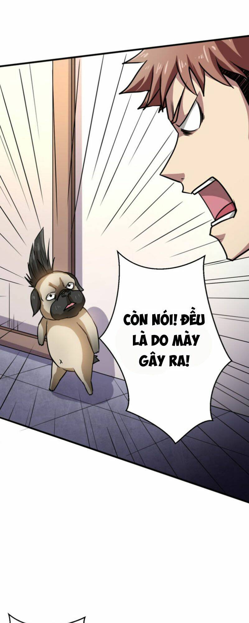 Bị Ép Trở Thành Mạnh Nhất Thế Giới Chapter 17 - Trang 2