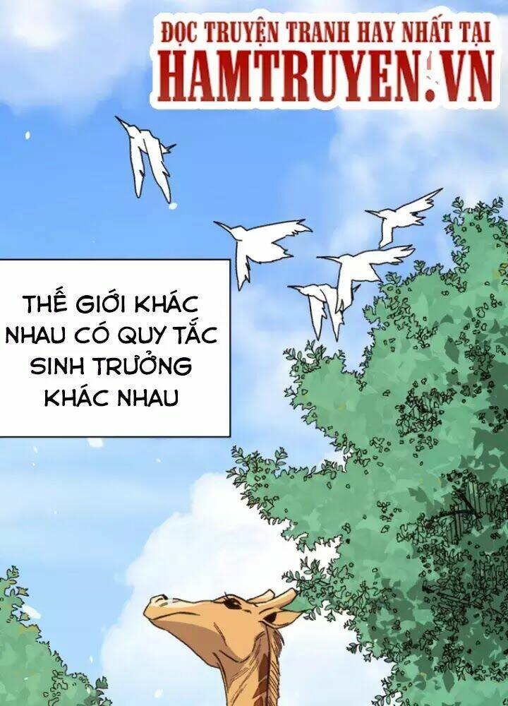 Bị Ép Trở Thành Mạnh Nhất Thế Giới Chapter 2 - Trang 2