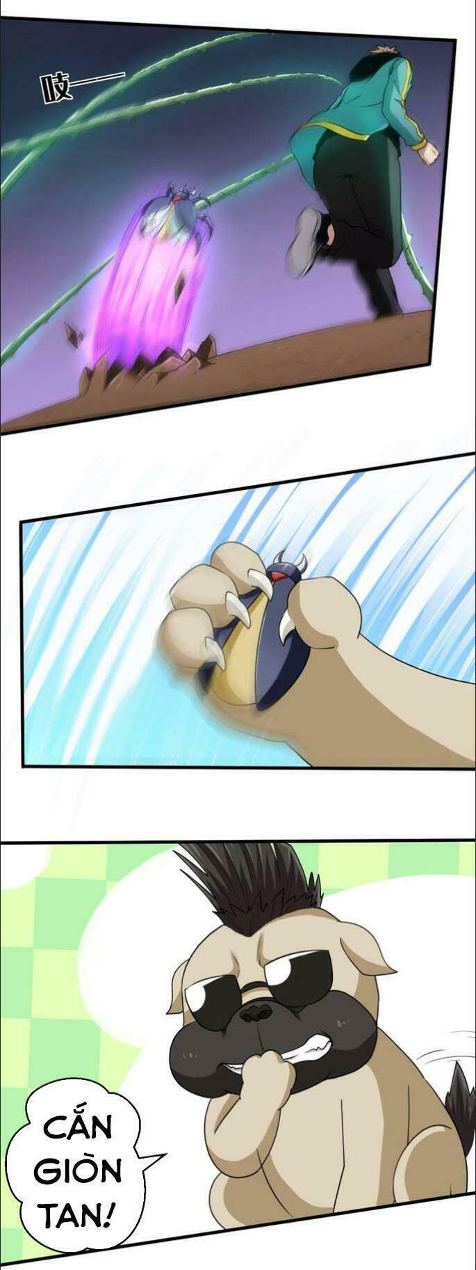Bị Ép Trở Thành Mạnh Nhất Thế Giới Chapter 38 - Trang 2
