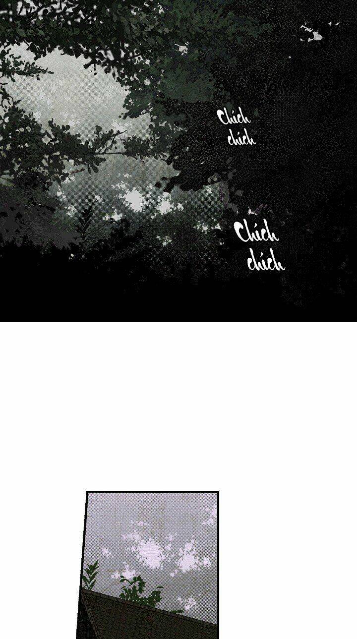 Bí Mật Của Quý Cô Chapter 22 - Trang 2