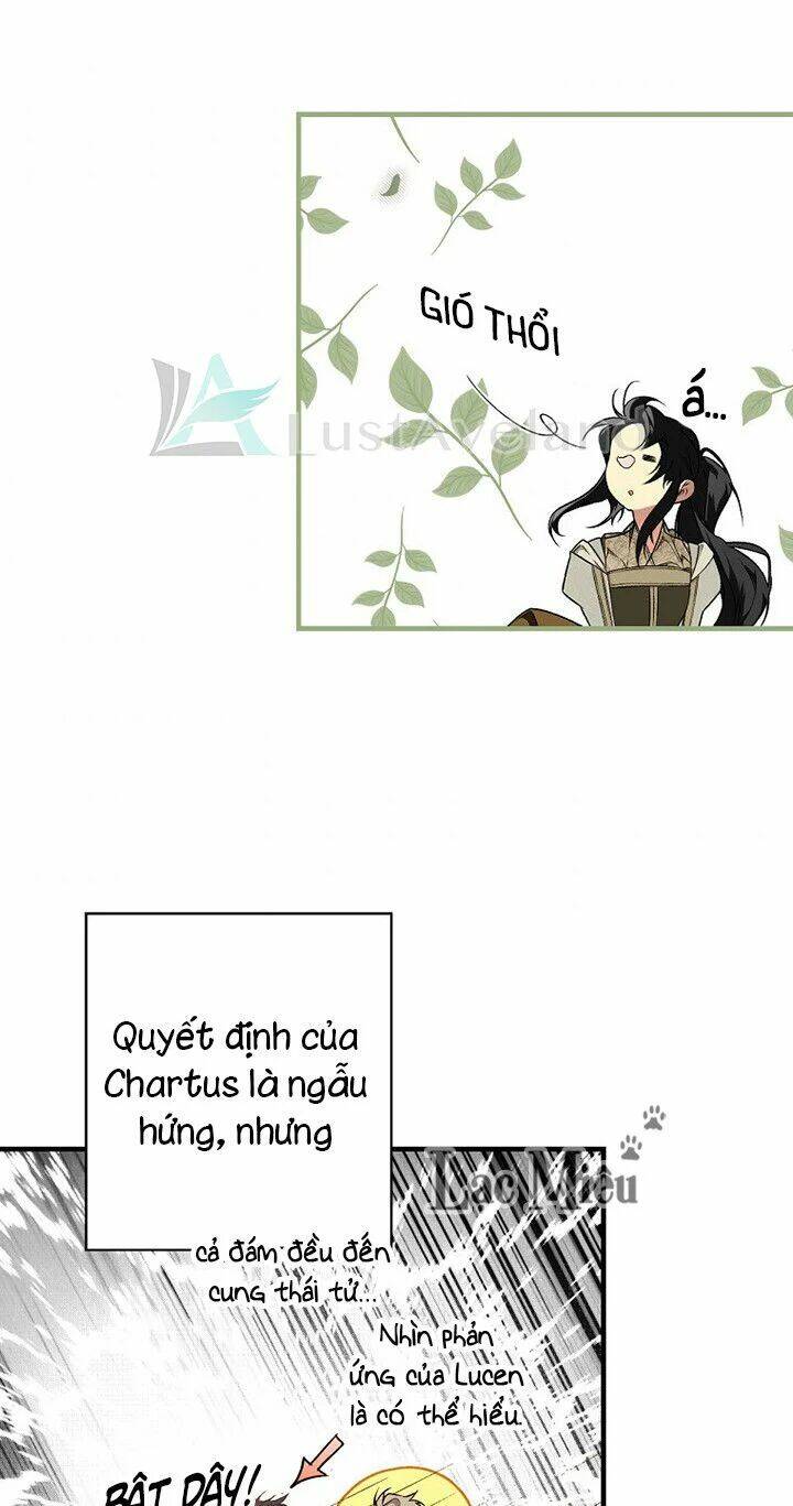 Bí Mật Của Quý Cô Chapter 29 - Trang 2