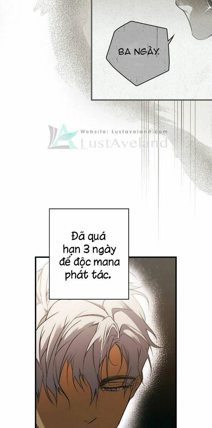 Bí Mật Của Quý Cô Chapter 33 - Trang 2