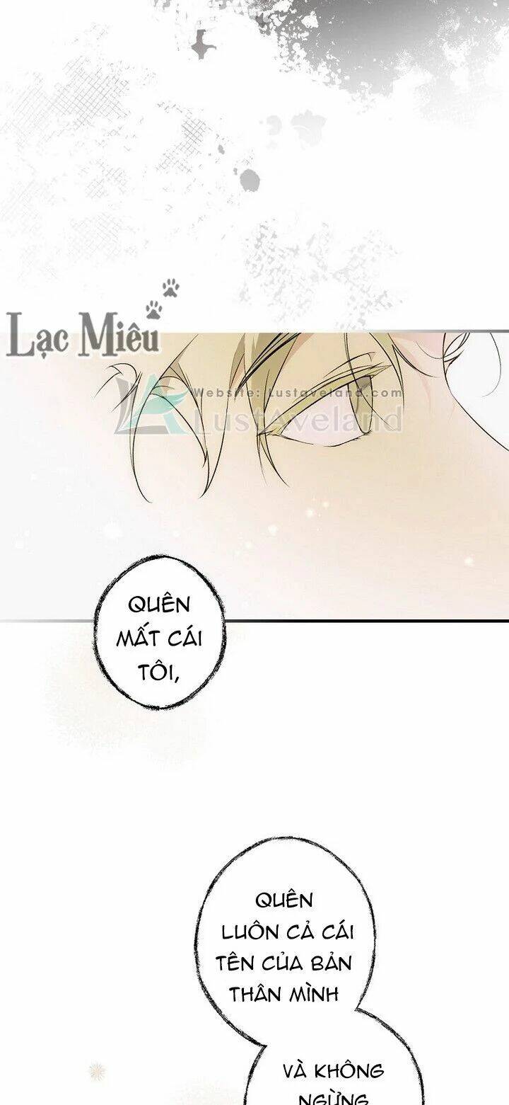 Bí Mật Của Quý Cô Chapter 37 - Trang 2