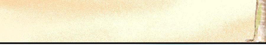 Bí Mật Của Thiên Kim Chapter 34 - Trang 2