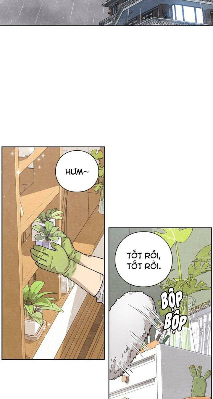 Bí Mật Thanh Xuân Chapter 1 - Trang 2