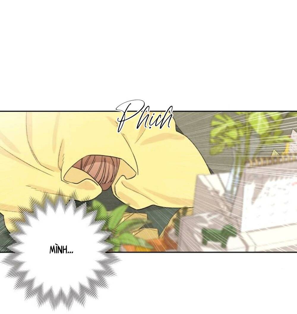 Bí Mật Thanh Xuân Chapter 10 - Trang 2