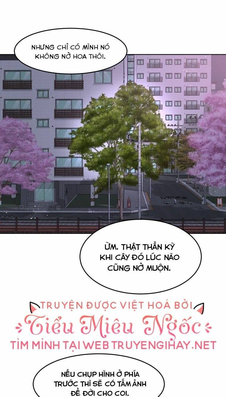 Bí Mật Tình Yêu Tuổi Thanh Xuân Chapter 15 - Trang 2