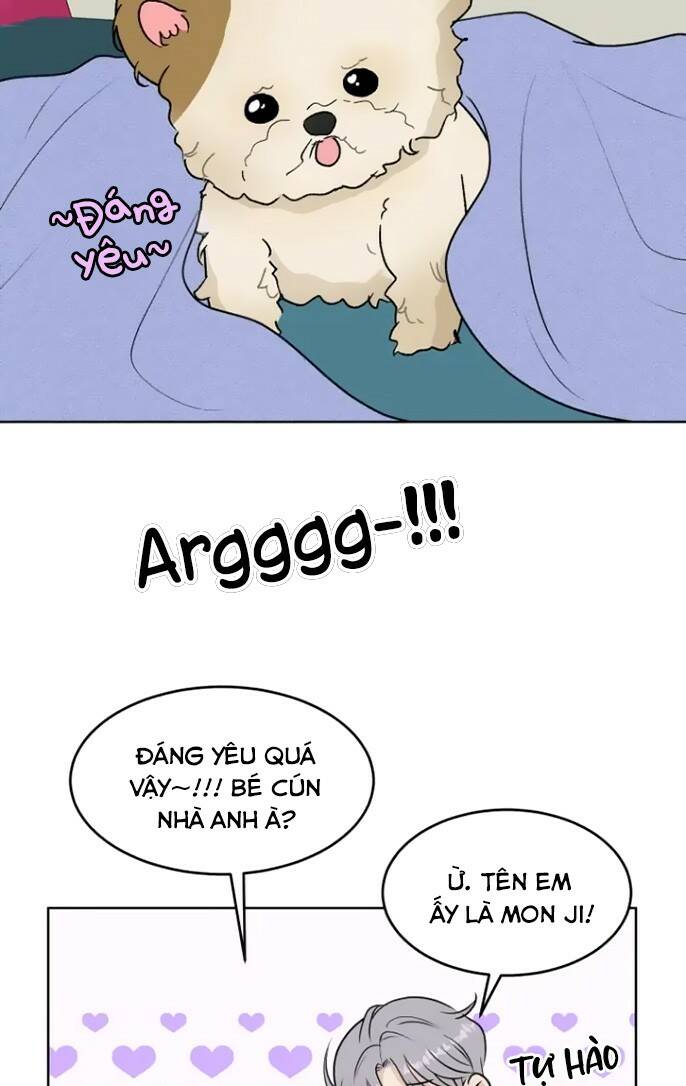 Bí Mật Tình Yêu Tuổi Thanh Xuân Chapter 19 - Trang 2