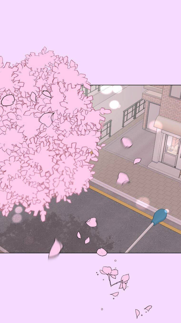 Bí Mật Tình Yêu Tuổi Thanh Xuân Chapter 28 - Trang 2