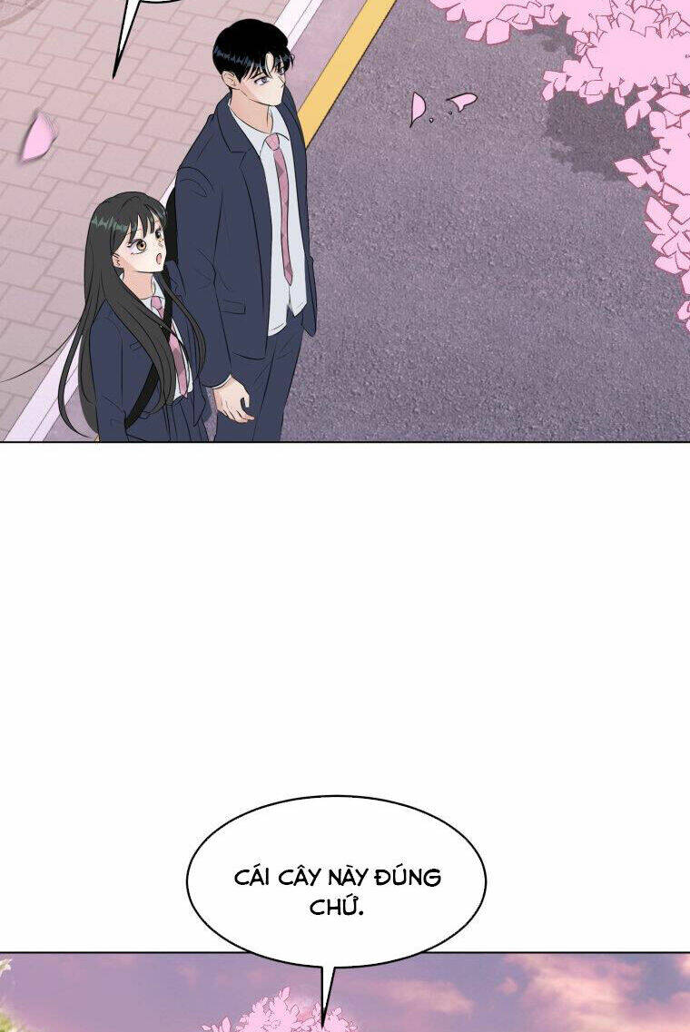 Bí Mật Tình Yêu Tuổi Thanh Xuân Chapter 28 - Trang 2