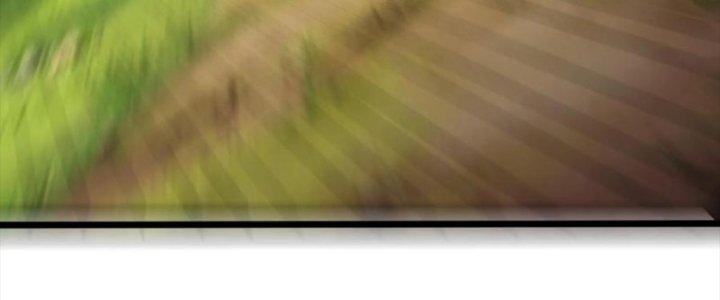 Bỉ Nhân Độc Tìm Đường Chết Chapter 15 - Trang 2