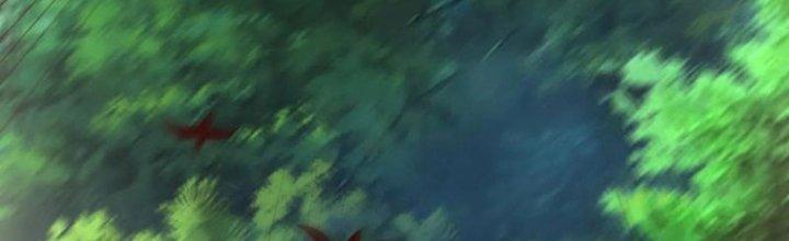 Bỉ Nhân Độc Tìm Đường Chết Chapter 19 - Trang 2