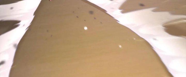 Bỉ Nhân Độc Tìm Đường Chết Chapter 31 - Trang 2