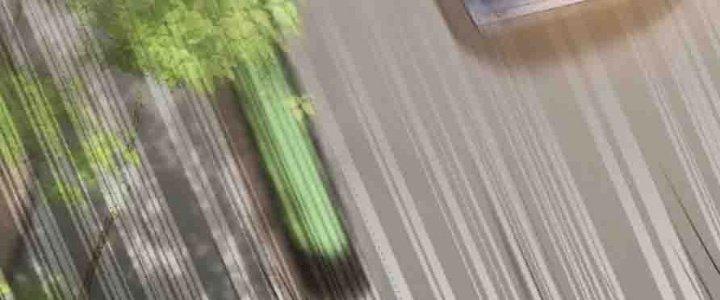 Bỉ Nhân Độc Tìm Đường Chết Chapter 35 - Trang 2