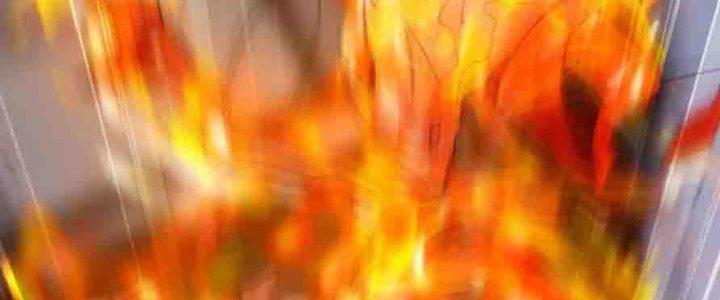 Bỉ Nhân Độc Tìm Đường Chết Chapter 35 - Trang 2