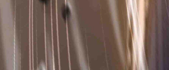 Bỉ Nhân Độc Tìm Đường Chết Chapter 35 - Trang 2