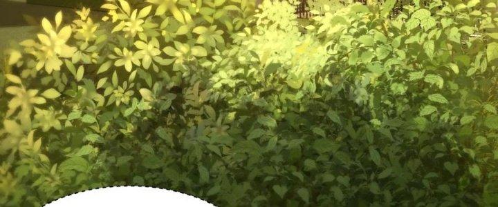 Bỉ Nhân Độc Tìm Đường Chết Chapter 4 - Trang 2